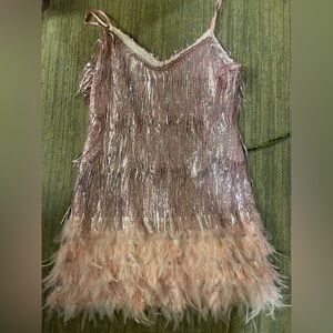 Pink Sequin Fringe & Feather Party Dress